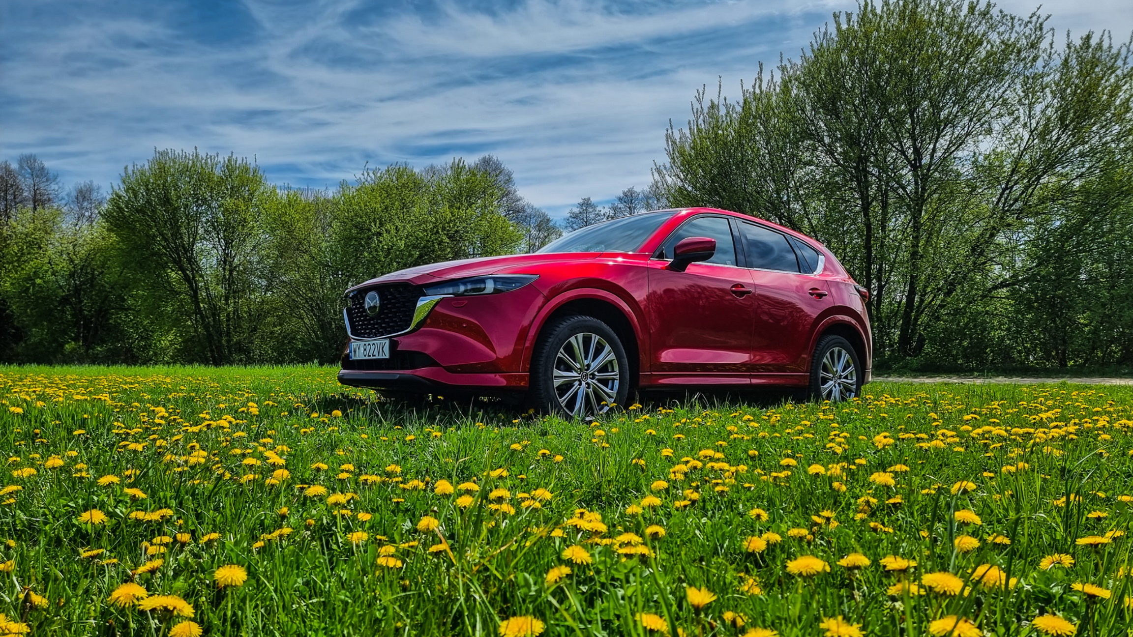 CX 5 No. 2 16X9 TW